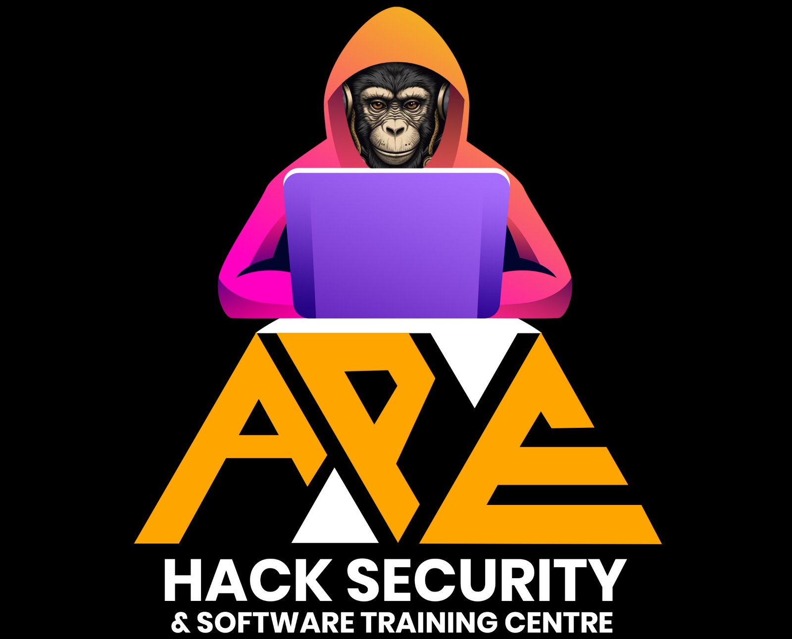 APE Hack Security / Software Training Center
